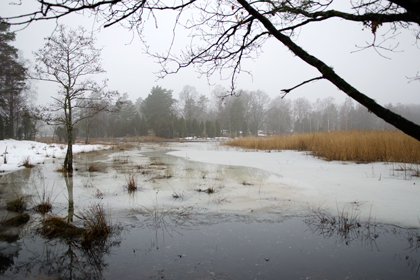 Rädda gädda